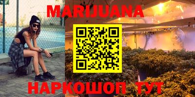 спиды Новодвинск