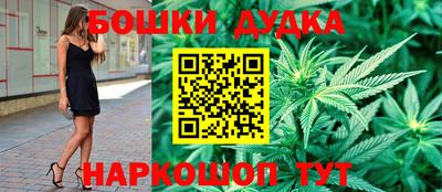 спиды Новодвинск