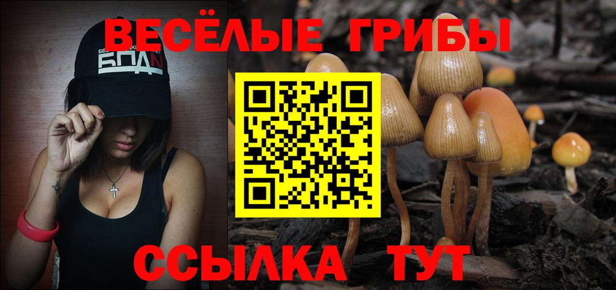 Галлюциногенные грибы Magic Shrooms  Псилоцибиновые грибы мицелий  Сосновый Бор  Вход с VPN 
